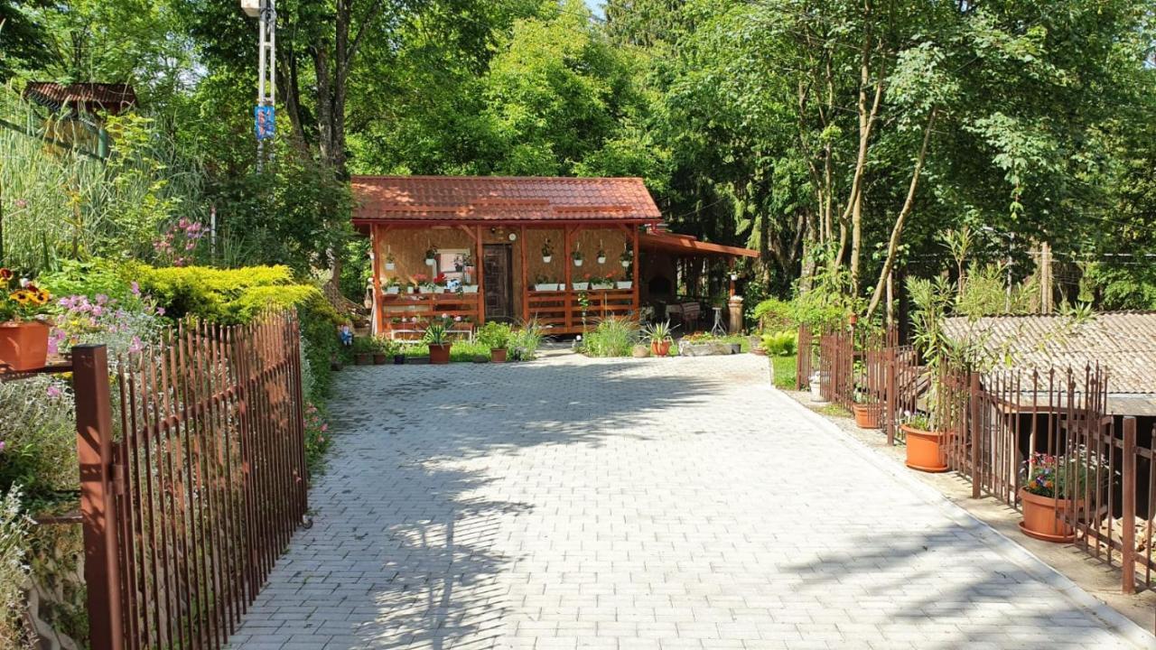 Casa Balint Hotel Sovata Exterior photo